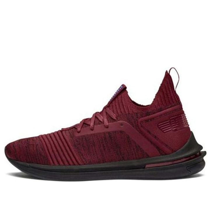 Tenisky a topánky Puma Ignite Limitless Sr Evoknit Červená | 190484-08