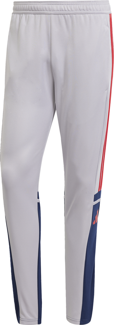 Tepláky adidas Originals SQUADRA 25 Training Pants Šedá | jp3372, 4