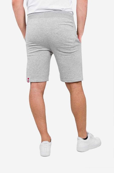 Šortky Alpha Industries Big Letters Shorts Šedá | 126344-17, 4