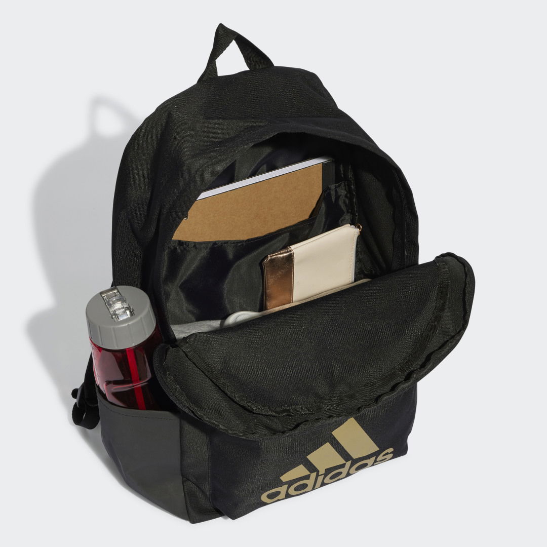 Classic Bage of Sport Backpack