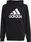 Hamburger SV Big logo hoody