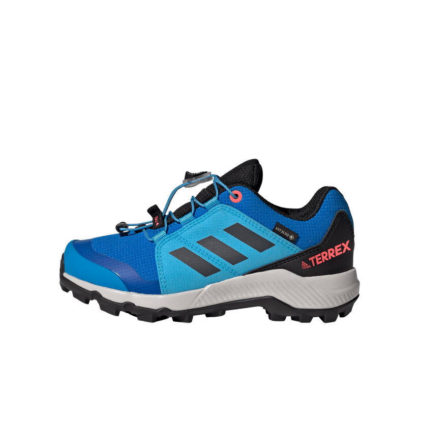 Tenisky a topánky adidas Originals Terrex GORE-TEX Modrá | GY7660