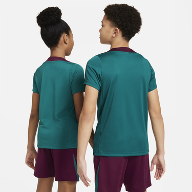 Súprava Nike Paris Saint-Germain Strike Dri-FIT Knit Soccer T-Shirt Zelené | FN9862-382, 3