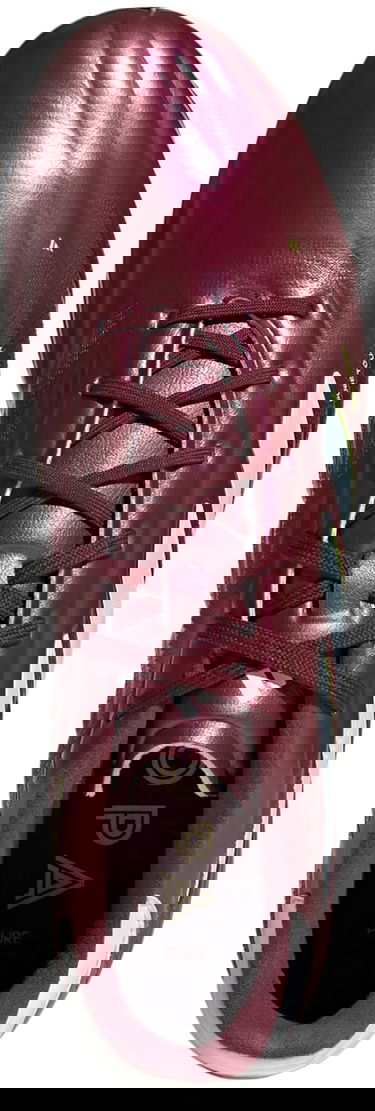Tenisky a topánky adidas Performance Adidas COPA PURE 2 ELITE FG Vínová | ie7486, 1