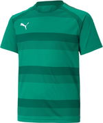 Puma teamVISION Jersey