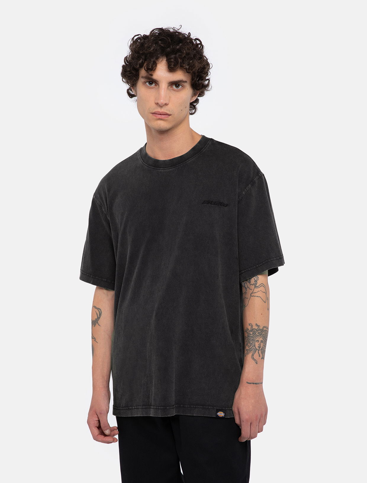 Tričko Dickies Plentywood T-Shirt Čierna | 0A866B, 0