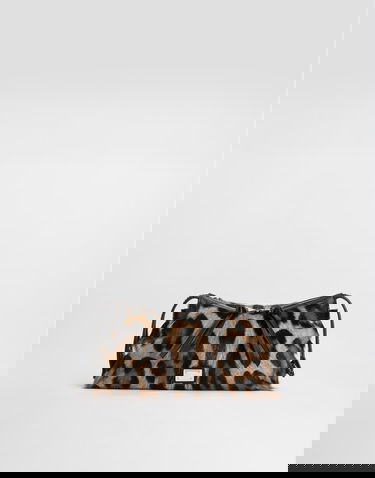 Kabelka Dolce & Gabbana Leopard-print Vittoria Shoulder and Crossbody Handbag Onesize Rôznofarebný | BB7889AX853HY13M, 0