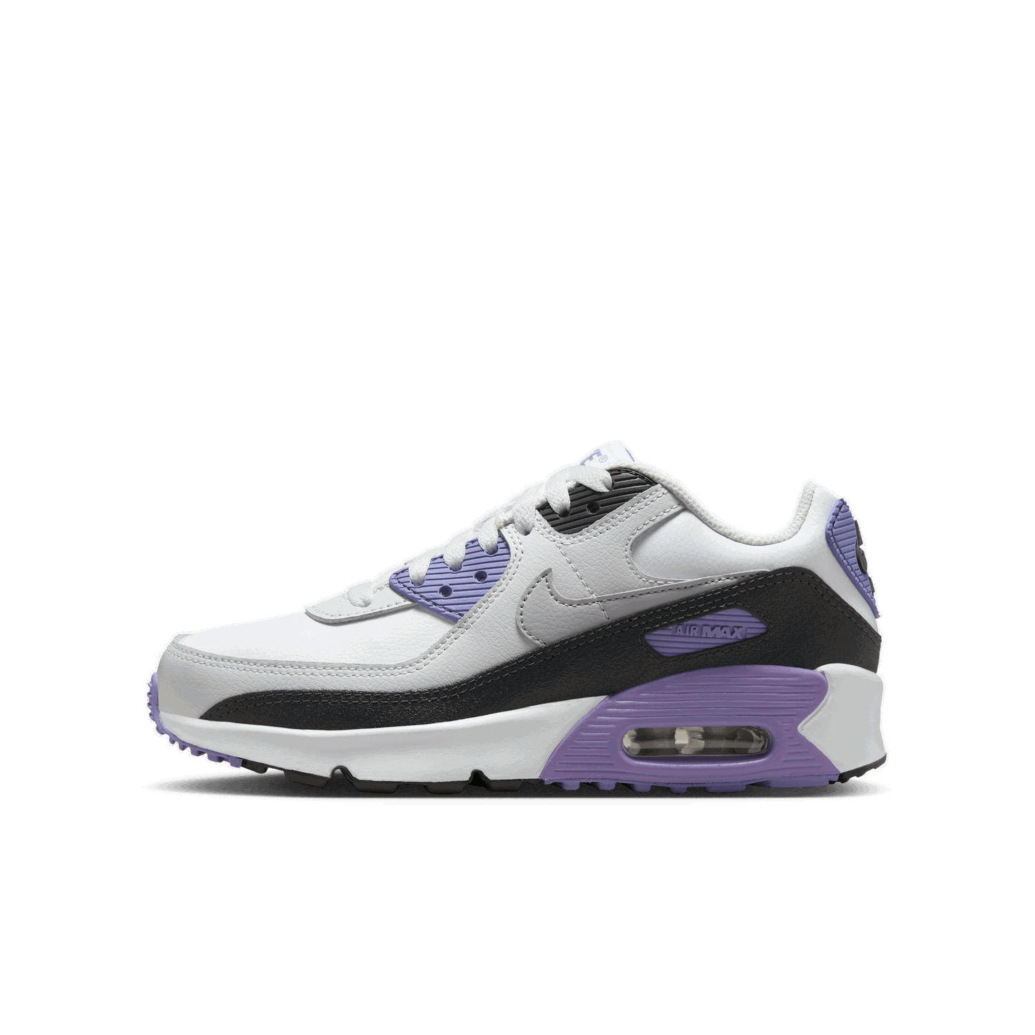 Tenisky a topánky Nike Air Max 90 LTR Fialová | CD6864-129, 1