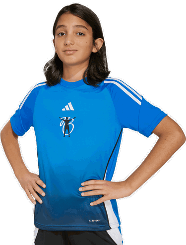 Dres adidas Originals JB Gradient Stripe AEROREADY Training Jersey Rôznofarebný | JX3939, 2