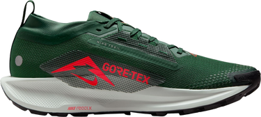 Tenisky a topánky Nike Pegasus Trail 5 GORE-TEX Zelené | fq0908-301, 3