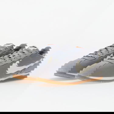 Tenisky a topánky Nike Cortez Textile Šedá | DZ2795-005, 5