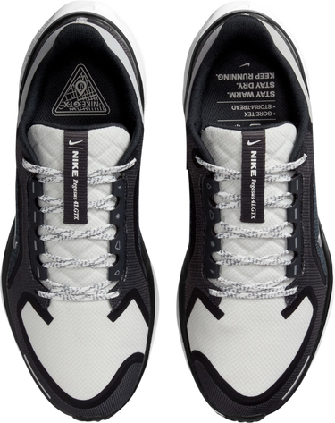 Tenisky a topánky Nike Pegasus 41 GORE-TEX Čierna | fq1357-002, 2
