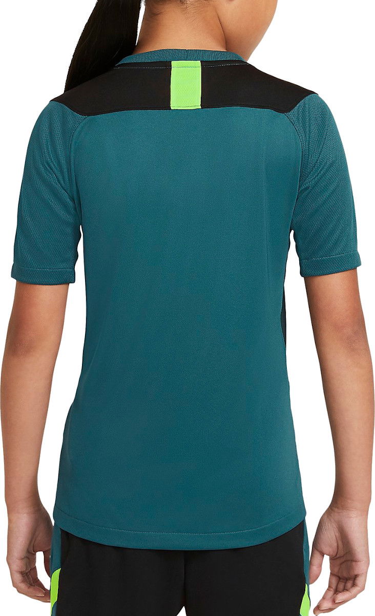 Tričko Nike Nike Dri-FIT Academy T-Shirt Zelené | cv1471-393, 1