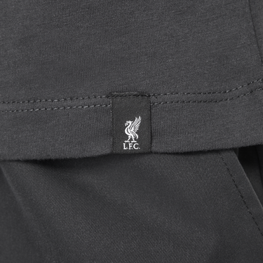 Tričko Nike Liverpool FC Swoosh T-Shirt Šedá | HJ4022-070, 4