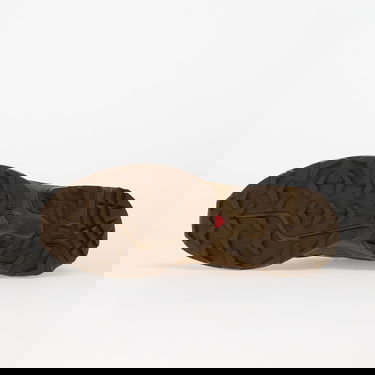 Tenisky a topánky Salomon Xt-6 Expanse Ltr Hnedá | L47852200, 1