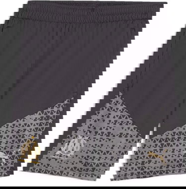 Šortky Puma Olympique Marseille Training Shorts Šedá | 771930-042, 0