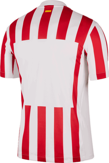 Dres Nike Nike ATM 2025/26 Stadium Home Jersey Červená | hj4587-615, 1