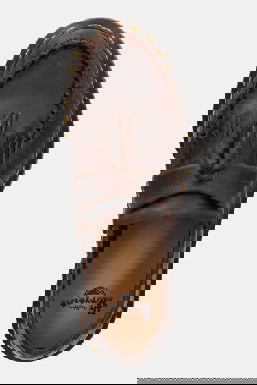 Tenisky a topánky Dr. Martens Adrian Tassel Loafer Hnedá | DM30917201, 3