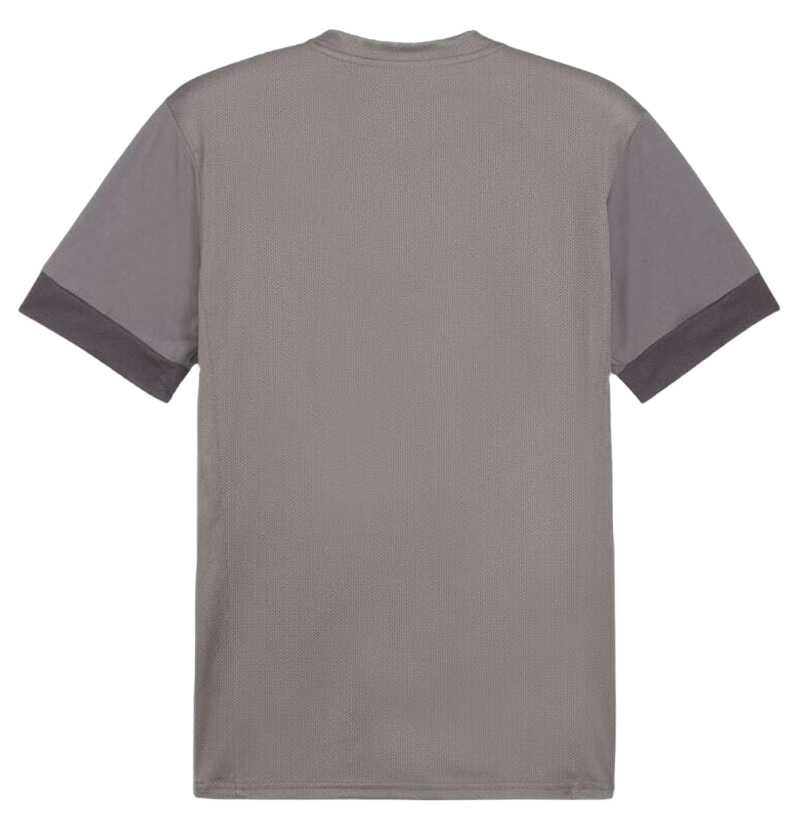 Dres Puma teamGOAL Matchday Jersey Šedá | 705747-13, 1