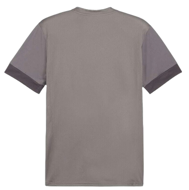 Dres Puma teamGOAL Matchday Jersey Šedá | 705747-13, 1