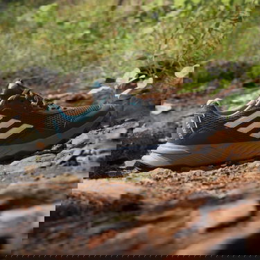Tenisky a topánky adidas Performance adidas TERREX Boty Tracefinder Trail Running Čierna | IE5909, 3