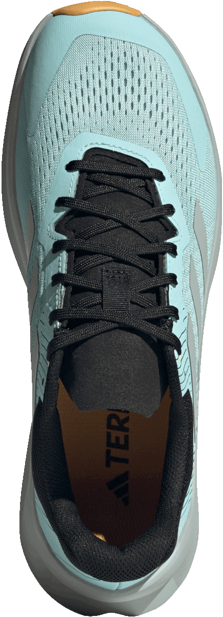 Tenisky a topánky adidas Performance TERREX SOULSTRIDE FLOW Tyrkysová | if5004, 1