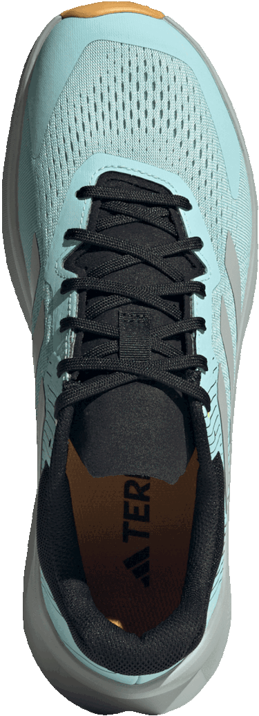 Tenisky a topánky adidas Performance TERREX SOULSTRIDE FLOW Tyrkysová | if5004, 1
