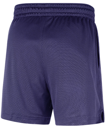 Šortky Nike PHOENIX SUNS NBA MESH SHORTS Fialová | FV2005-566, 2