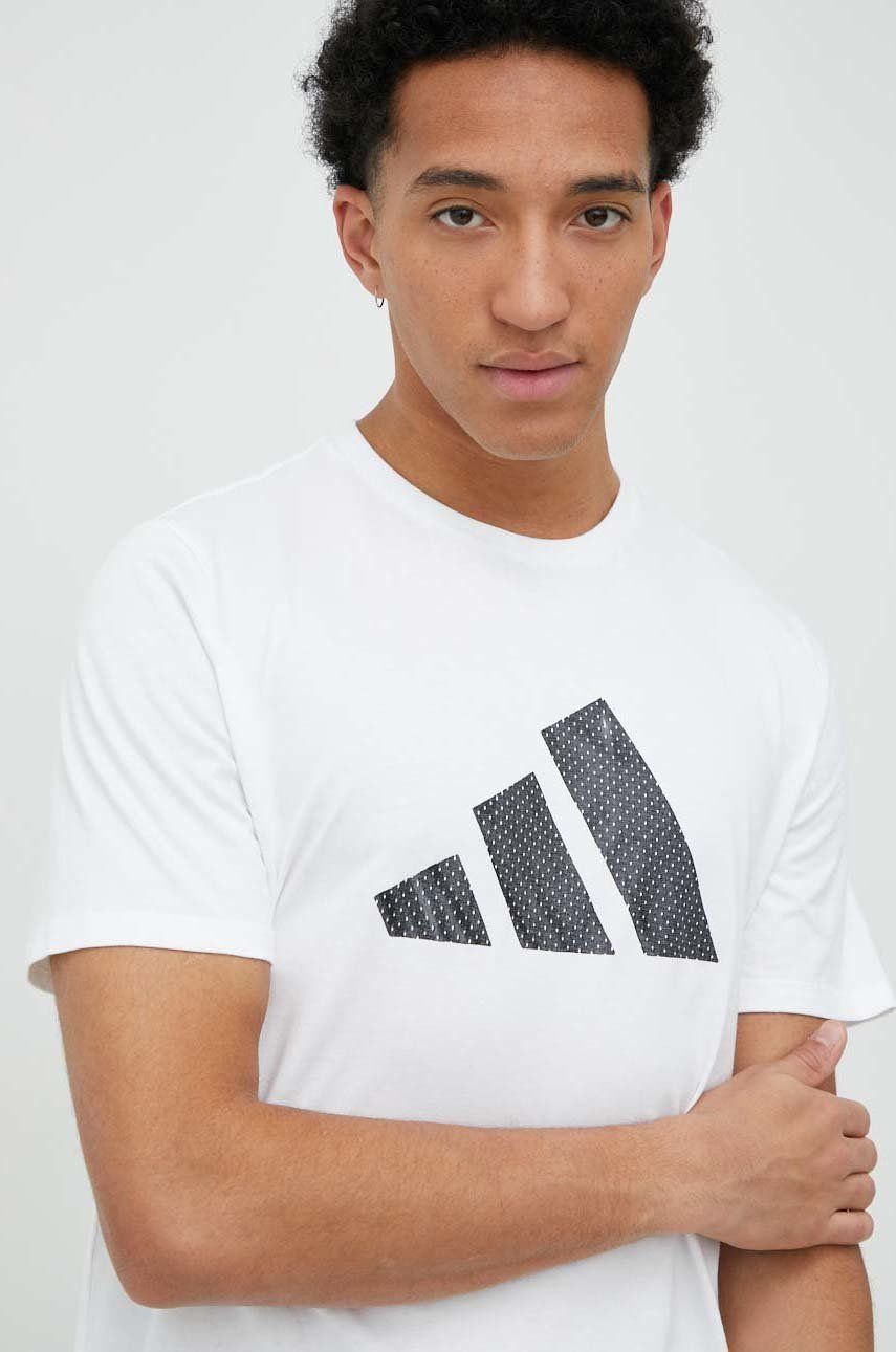 Tričko adidas Originals adidas Originals T-Shirt with Print Biela | IC1856, 0