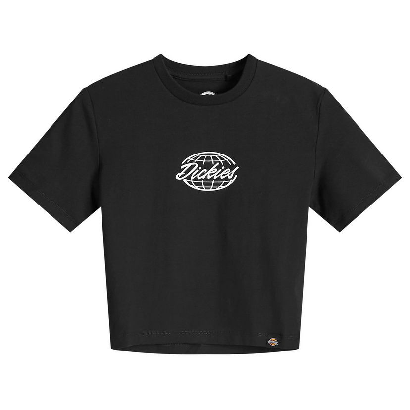 Tričko Dickies Globe T-Shirt Čierna | DK0A863I-001