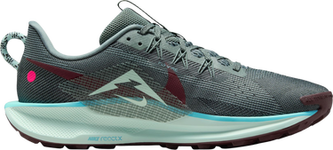 Tenisky a topánky Nike Pegasus Trail 5 Rôznofarebný | dv3864-302, 3
