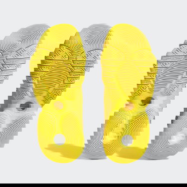 Tenisky a topánky adidas Performance Trae Young 2.0 Žltá | IG4793, 2