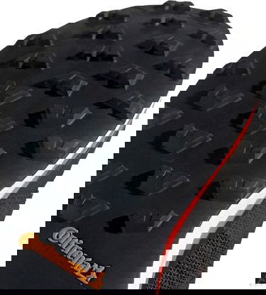 Tenisky a topánky adidas Performance Terrex Agravic GTX Čierna | eh3569, 4
