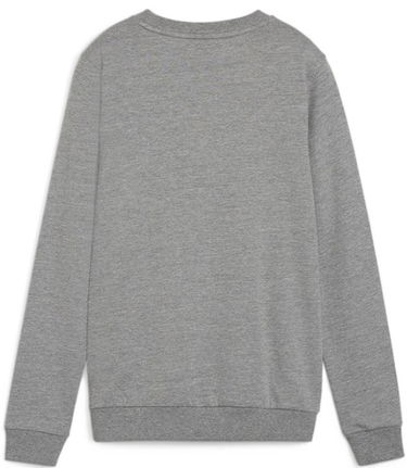 Mikina Puma teamGOAL Casuals Sweatshirt Šedá | 658594-33, 1