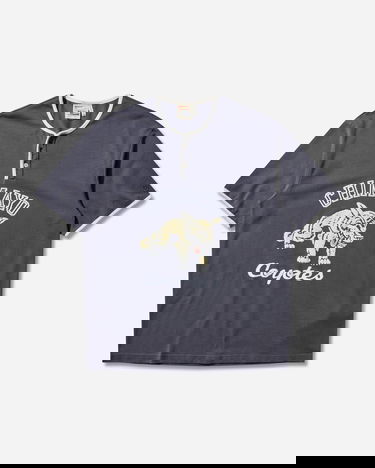 Tričko Champion Index and Archives Sunset Chimayo Coyotes Graphic Henley T-Shirt with Contrast Trim Šedá | 221839 ES524, 0