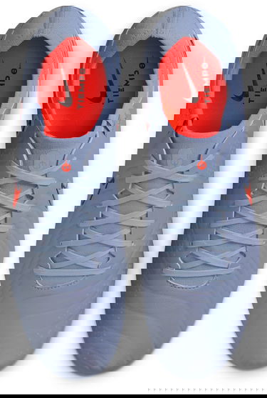 Tenisky a topánky Nike LEGEND 10 PRO FG Šedá | dv4333-402, 7