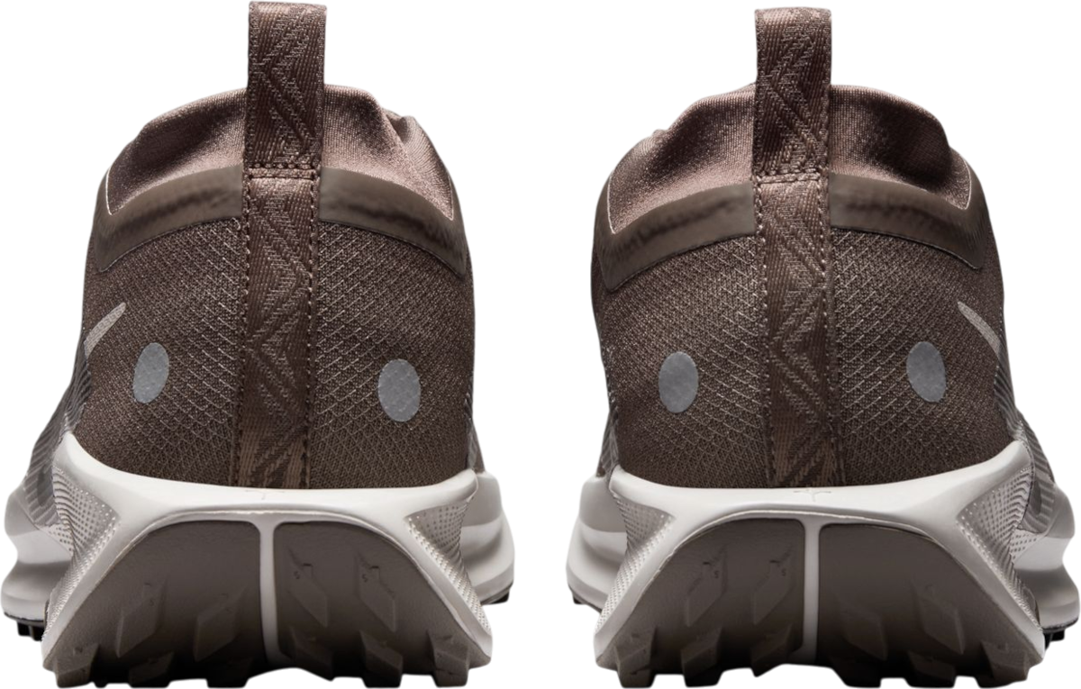 Tenisky a topánky Nike Pegasus Trail 5 GORE-TEX Hnedá | fq0908-012, 1