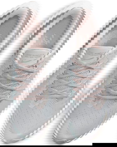 Tenisky a topánky Nike Winflo 8 Premium W Šedá | da3056-001, 3