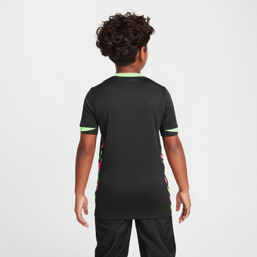 Dres Nike Australia Stadium 2025/26 Dri-FIT Replica Jersey Čierna | FQ8859-321, 2