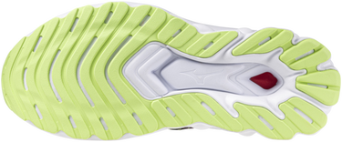 Tenisky a topánky Mizuno WAVE SKYRISE 5 ROXY Šedá | j1gc245802, 5