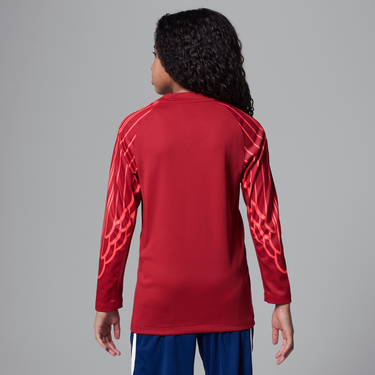 Dres Jordan Paris Saint-Germain 2025 Fourth Stadium Goalkeeper Dri-FIT Long Sleeve Replika Jersey Červená | HJ6859-660, 3
