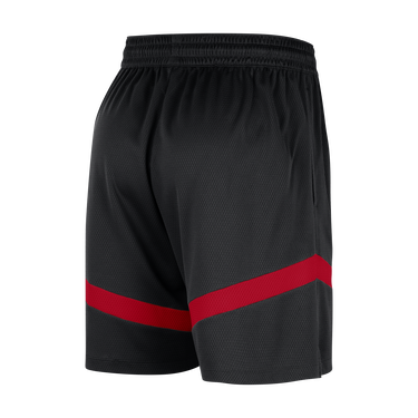 Šortky Nike Dri-FIT NBA Chicago Bulls Icon Practice Čierna | FB4018-010, 2