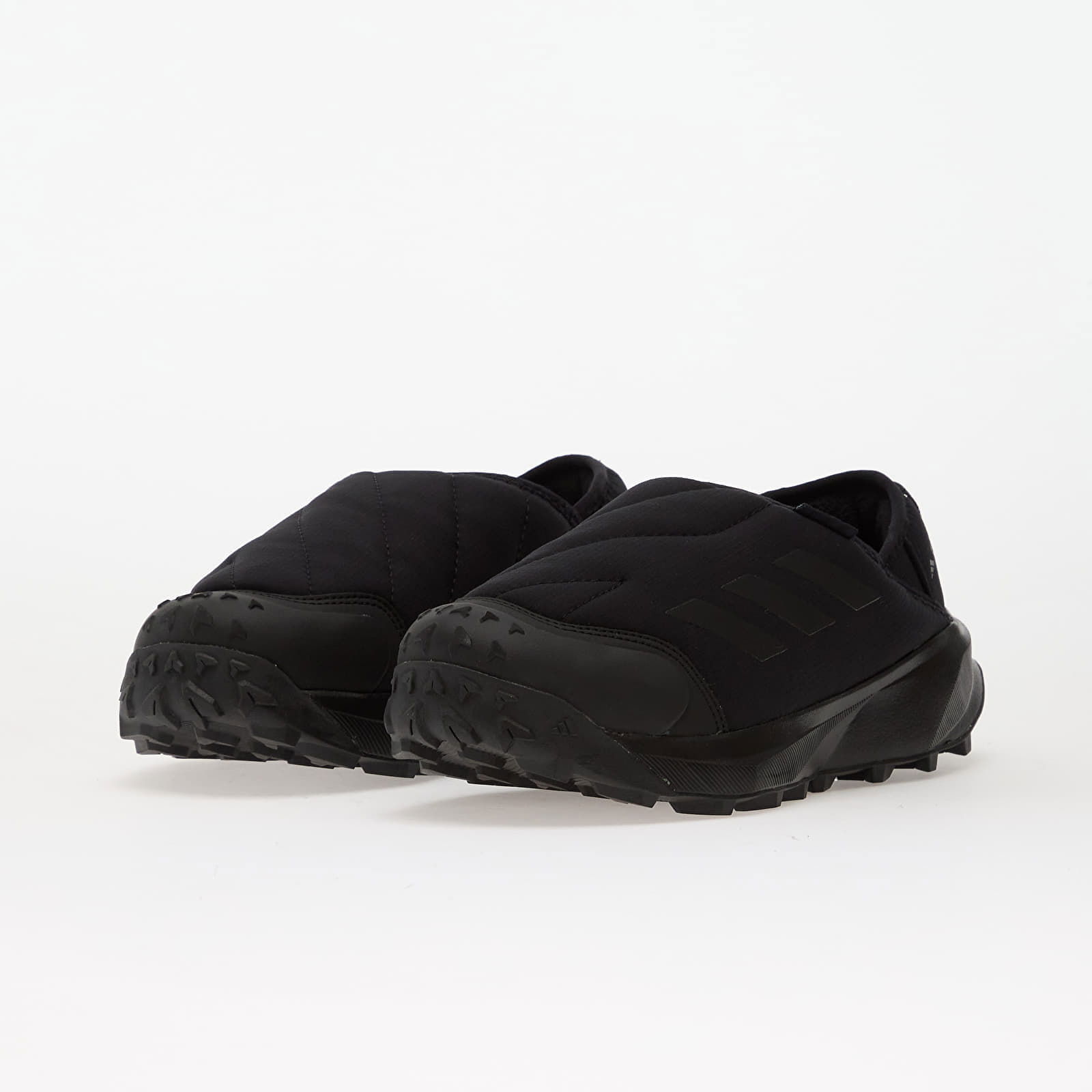 Terrex Winter