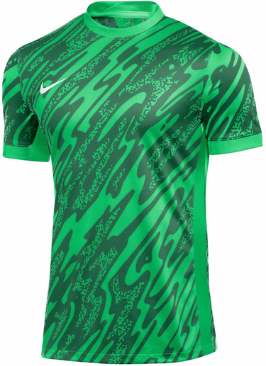 Dres Nike Nike Gardien V GK Soccer Jersey Zelené | fd7482-329, 0