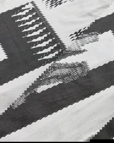 Tričko Cav Empt Century Cameo Longsleeve T-Shirt Biela | CES28LT03 WHITE, 4