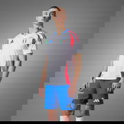 Italy 2024 Authentic