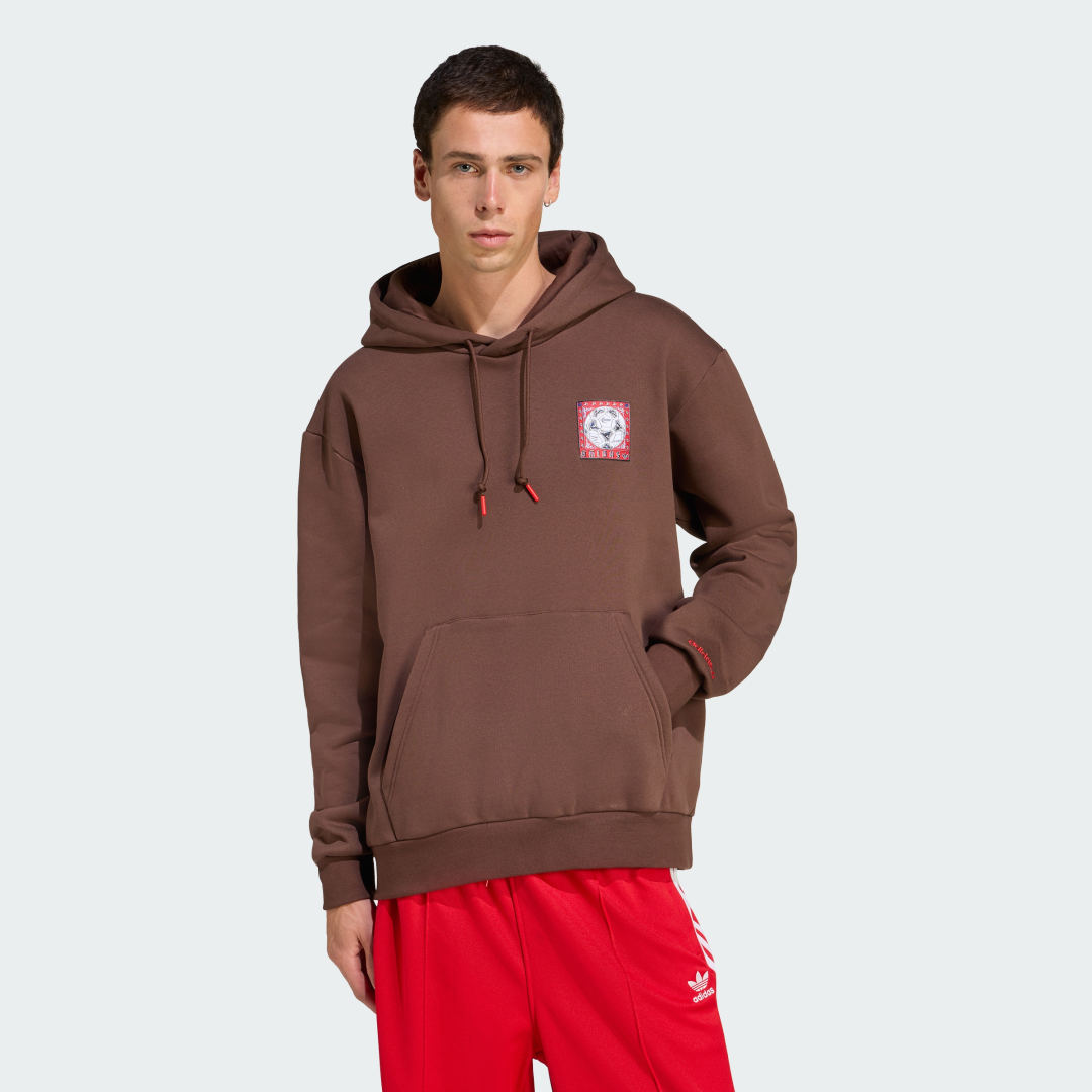 Mikina adidas Performance Graphic Hoodie Hnedá | JX3095, 0