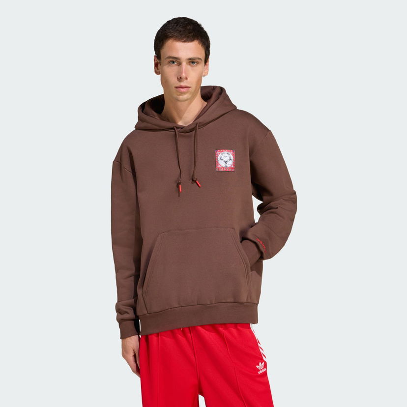 Mikina adidas Performance Graphic Hoodie Hnedá | JX3095