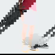 Arsenal Terrace Icons Shorts