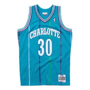 Mitchell & Ness Charlotte Hornets Dell Curry Swingman Jersey